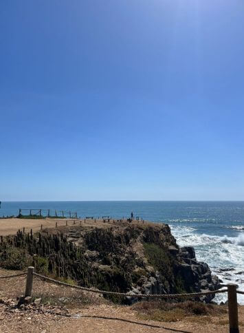 Punta-De-Lobos